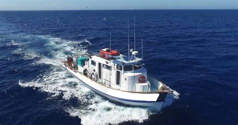 thunderbird sportfishing san diego.